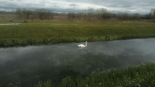 Opinii despre Izletište i restoran "Odranski ribič" în Kuče - Gastronomija i ugostiteljstvo