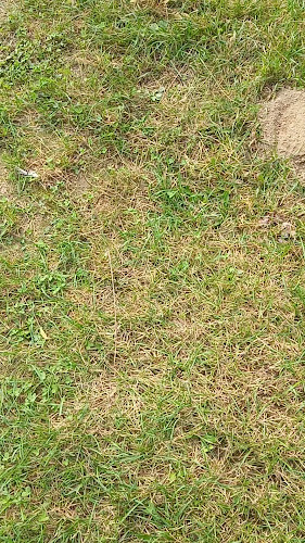 Bijela lađa - Gastronomija i ugostiteljstvo