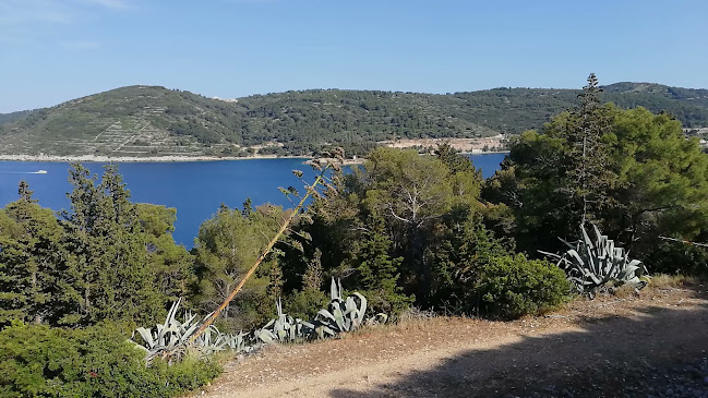 Šetalište Apolonija Zanelle 19, 21480, Vis