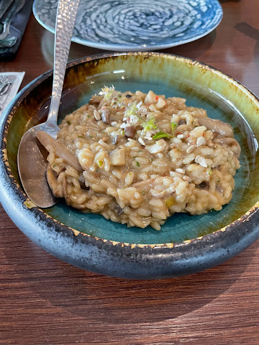 Comentarii opinii despre Ludo More