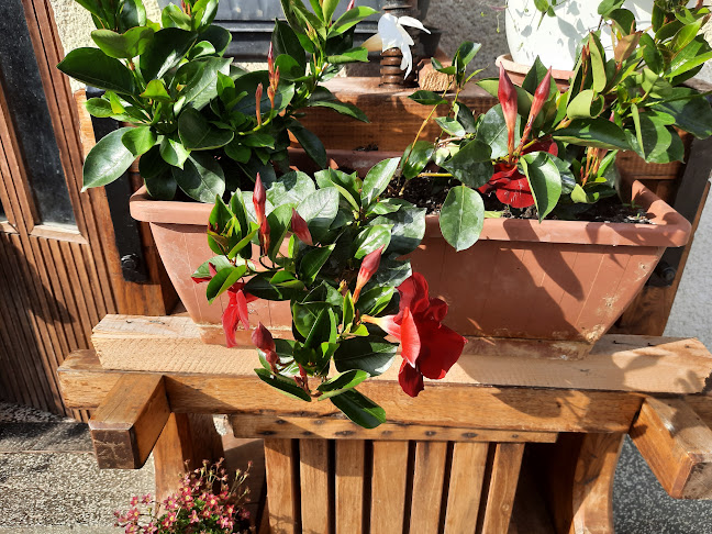 Opinii despre La Poa în Zagreb - Gastronomija i ugostiteljstvo