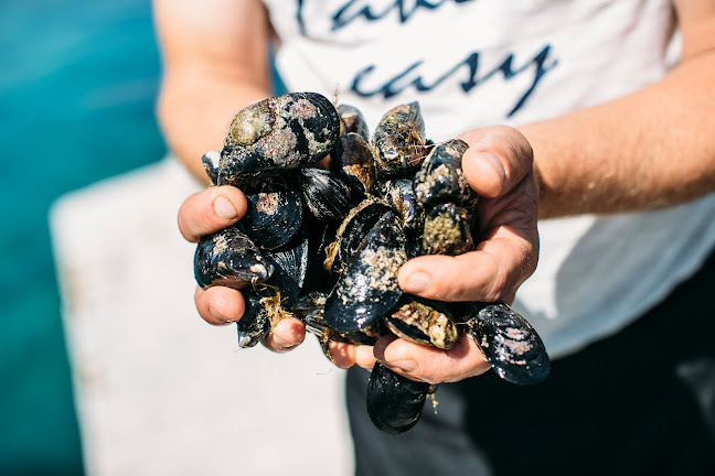 Comentarii opinii despre Luka's Taverna Kobaš