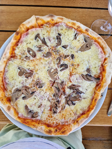 Comentarii opinii despre Nauta