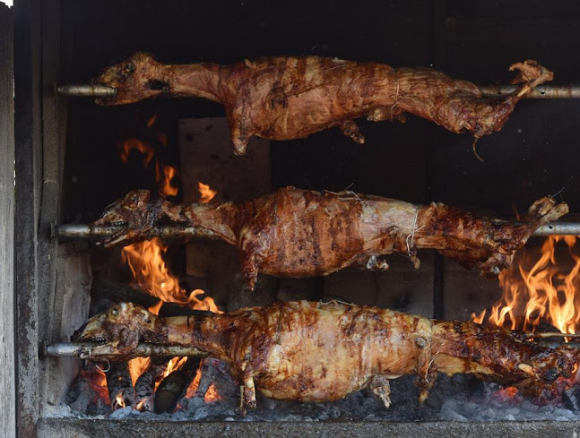 Ul. bana Josipa Jelačića 107, 31550, Valpovo