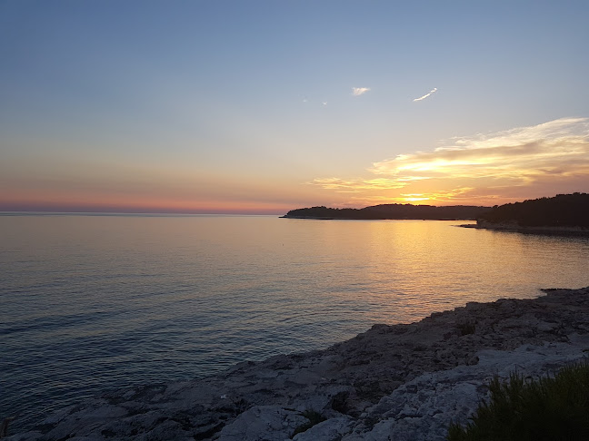 Caffe bar "Ari" - Gastronomija i ugostiteljstvo
