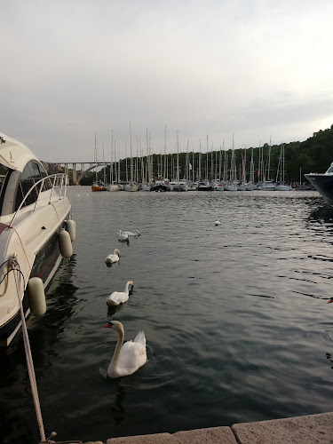 Comentarii opinii despre Caffe bar Polo