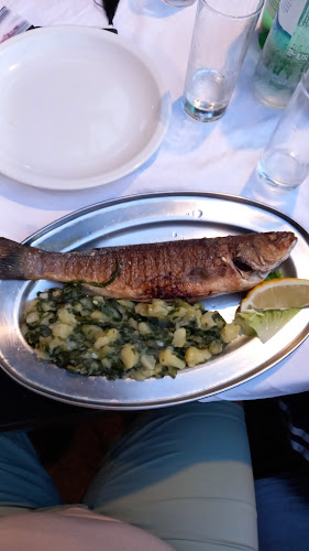 Comentarii opinii despre Konoba Gec