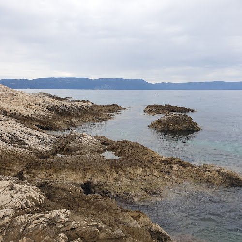 Pingo 2 - Gastronomija i ugostiteljstvo