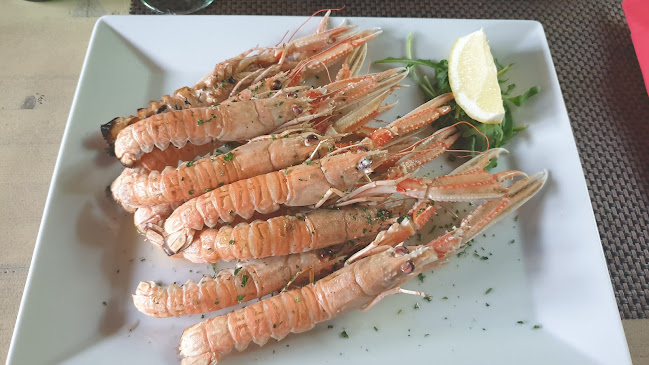 Antika Zaton - Zaton