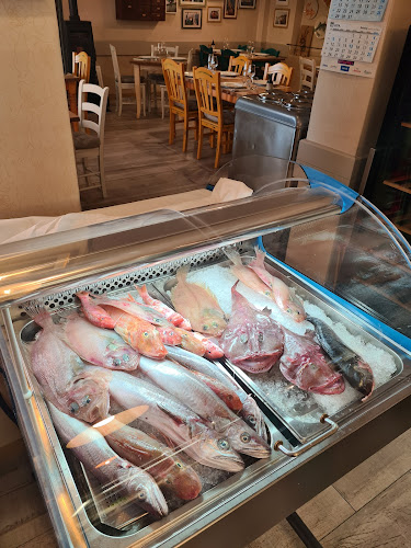 Comentarii opinii despre Mala Riba