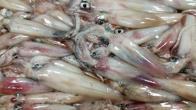 Comentarii opinii despre Peskarija Kalambera