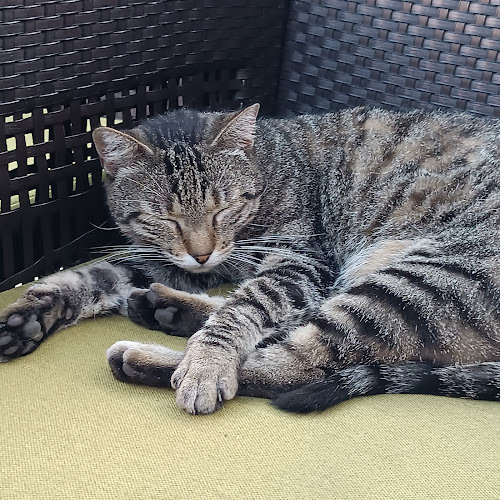 Obala Stjepana Radića 26A, 20000, Dubrovnik