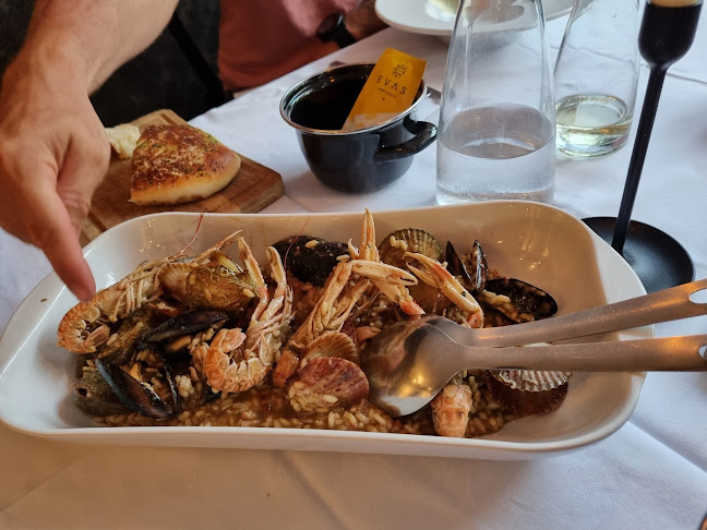 Comentarii opinii despre Farabuto