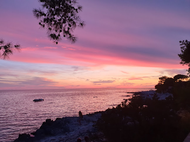 Opinii despre Restoran Momi în Veli Rat - Gastronomija i ugostiteljstvo