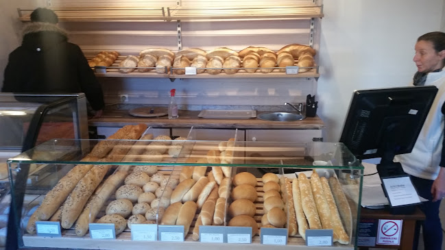 Opinii despre Rustika în Bale - Gastronomija i ugostiteljstvo