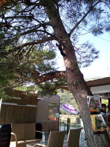 Beach bar Mozzart - Gastronomija i ugostiteljstvo