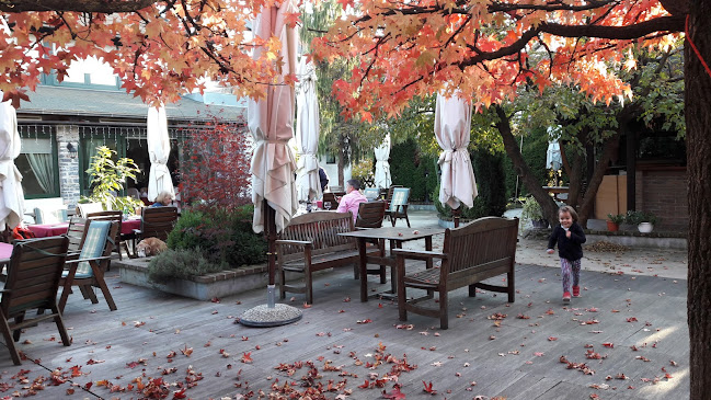 Restoran Zeleni Papar