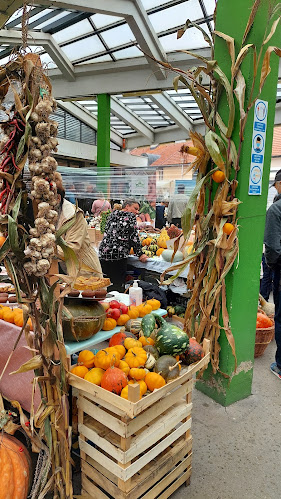 Park Hrvatskih Branitelja, 10310, Ivanić-Grad