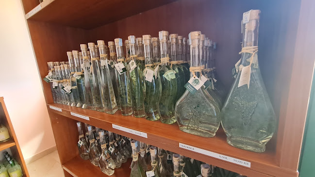 Vina otoka Paga - Gastronomija i ugostiteljstvo