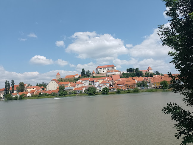 Savannah - Gastronomija i ugostiteljstvo