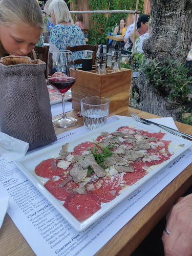 Comentarii opinii despre Fančita