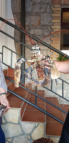 Konoba Pod Orajom - Gastronomija i ugostiteljstvo