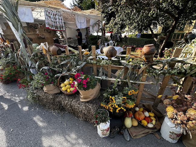 Trg Petra Zrinskog 5a, 10340, Vrbovec