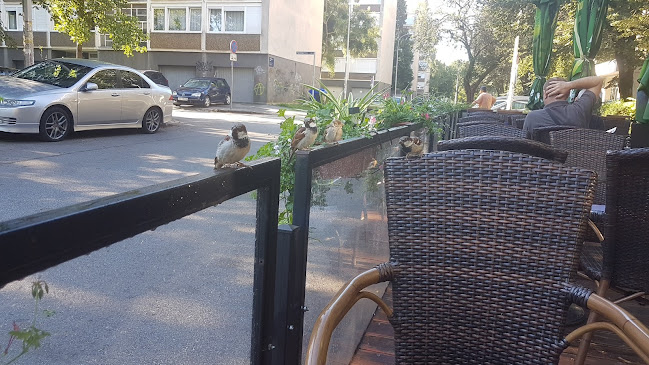 Comentarii opinii despre Caffe bar Gajba