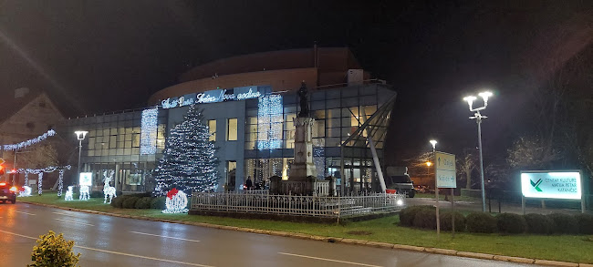 Trg kralja Tomislava 2, 31550, Valpovo