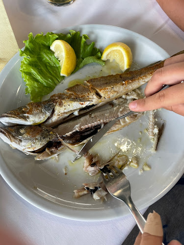 Jadran - Gastronomija i ugostiteljstvo