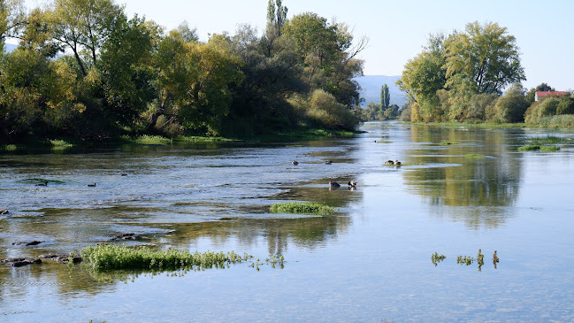 Caffe Bar Cetina - Gastronomija i ugostiteljstvo