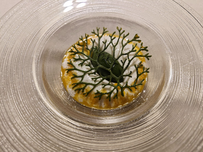 Šetalište Vijeća Europe 1-2, 52210, Rovinj