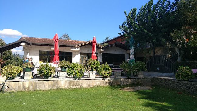 Comentarii opinii despre Ranc Mustang