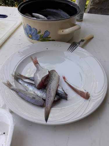 Ribarnica Rab - Gastronomija i ugostiteljstvo