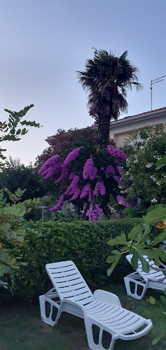 Opinii despre Harmony în Barbat na Rabu - Gastronomija i ugostiteljstvo