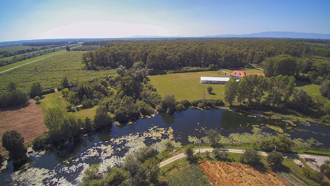 Izletište i restoran "Odranski ribič" - Kuče