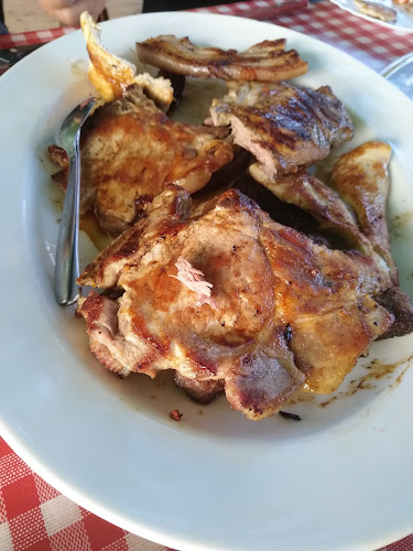 Comentarii opinii despre Restoran Premijer Gaz