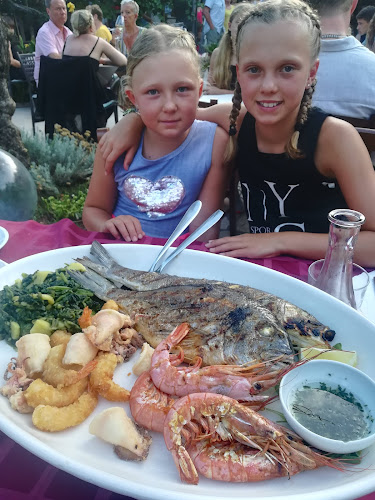 Comentarii opinii despre Fančita