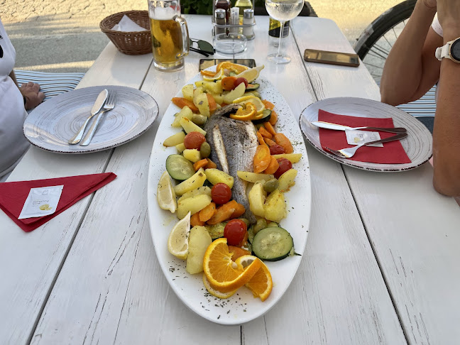 Gatto Blu novigrad - Novigrad