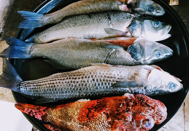 Konoba Don Mateo - Vela Luka