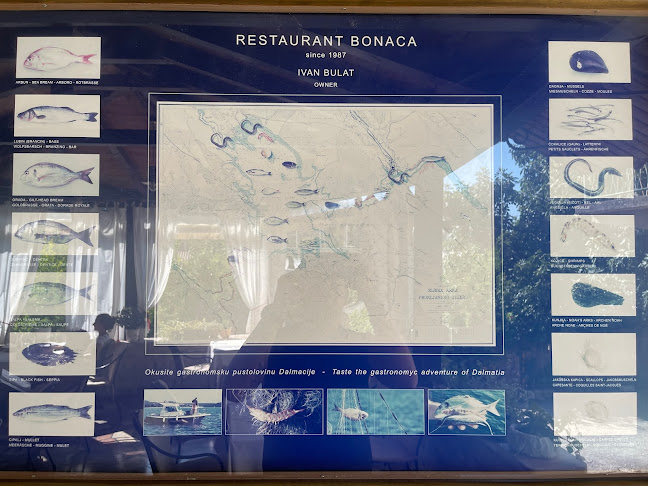 Zagrađe 15, 22222, Skradin