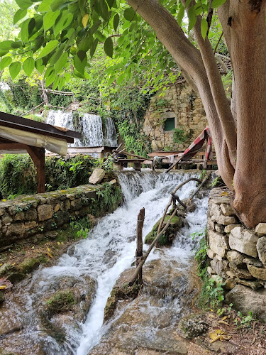 Opinii despre Seosko Domacinstvo Kristijan în Bogatić - Gastronomija i ugostiteljstvo