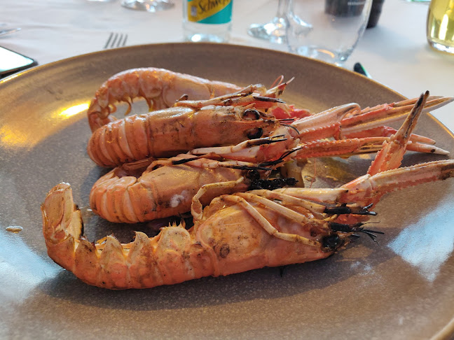 Comentarii opinii despre Restoran Adriatic