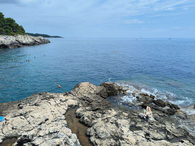 Comentarii opinii despre Arena Verudela Beach Apartments