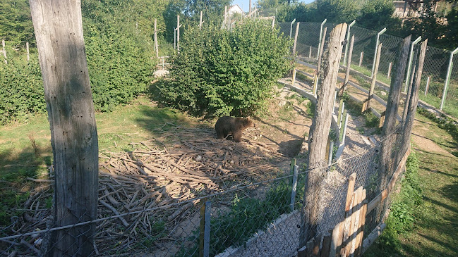 OBRT "IVE" Kuterevo - Gastronomija i ugostiteljstvo