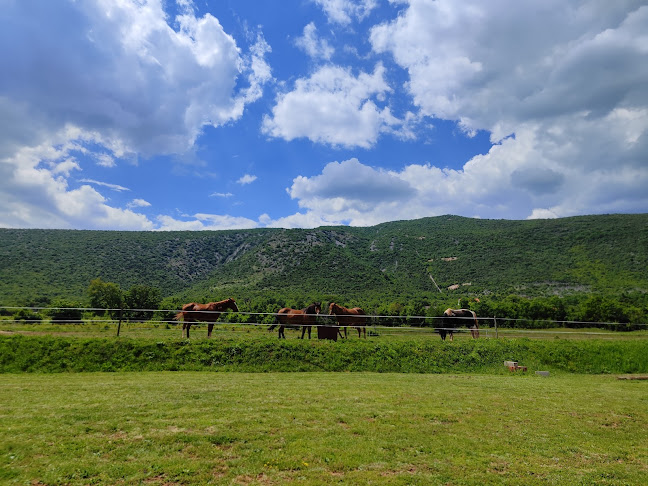 Comentarii opinii despre Restoran Kod Luke