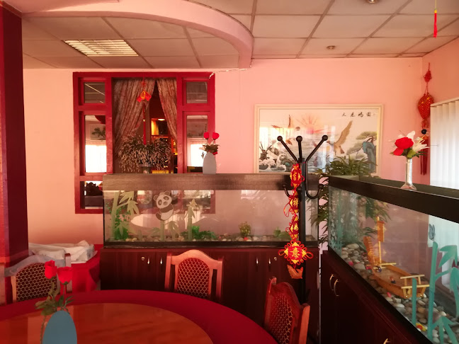 Comentarii opinii despre Bambus Garden