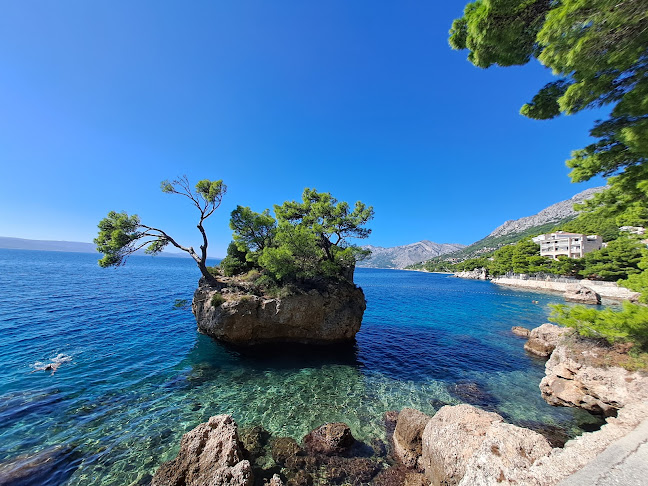 80, Trg Alojzija Stepinca, 21322, Brela