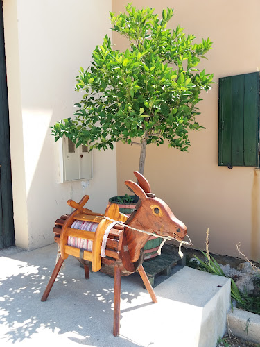 Comentarii opinii despre Vina otoka Paga