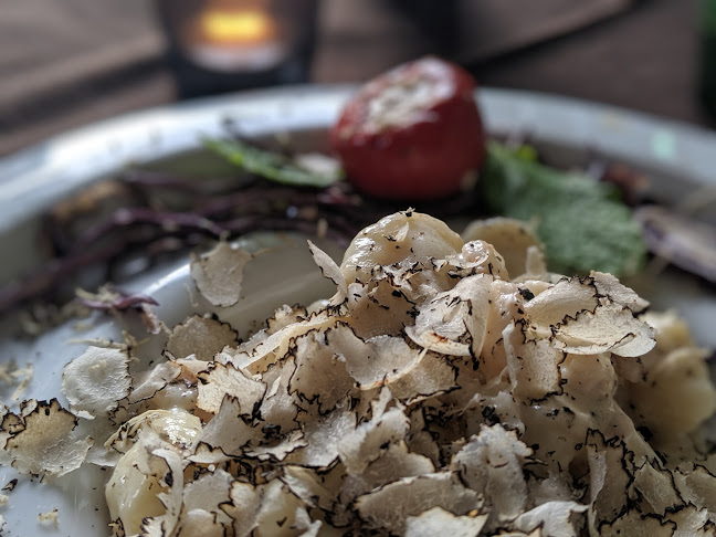 Konoba Mondo - Gastronomija i ugostiteljstvo